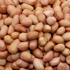Jumbo Raw Peanuts - Image 1